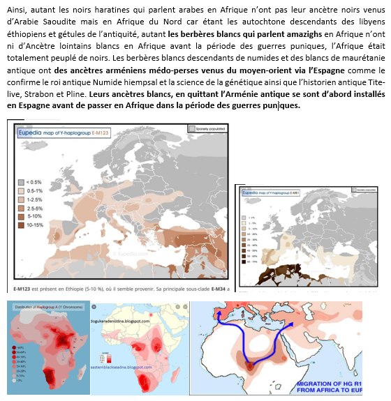 Lire la suite à propos de l’article Histoire antique de l&rsquo;Afrique : les tamasheqs (noirs) et la vraie origine des berbères blancs dit amazighs