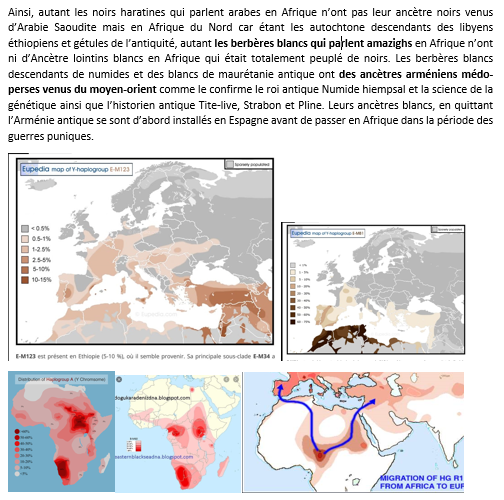C:\Users\Hp\Documents\DOSSIER KAMITE ANTI RELIGION ABRAHAMIQUE\IMAGES\kamite image\Libye afrique antique\Les maghrébin blancs amazighs sont des medo arméniens adn.png