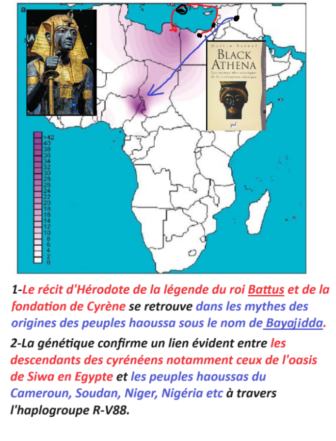 C:\Users\Hp\Documents\DOSSIER KAMITE ANTI RELIGION ABRAHAMIQUE\IMAGES\kamite image\les R-V88 d'Egypte 27 pr C\Haoussa cyrénéens.png