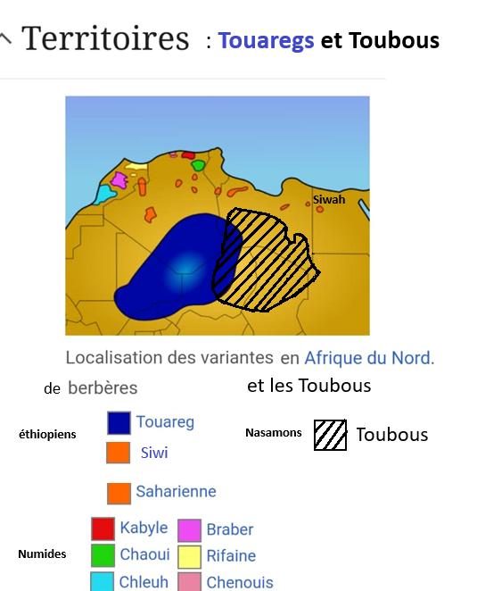 C:\Users\Hp\Documents\DOSSIER KAMITE ANTI RELIGION ABRAHAMIQUE\IMAGES\kamite image\Les Haplogroupes Haoussa Peuls siwa et Amazighs\Touaregs et Toubous.png