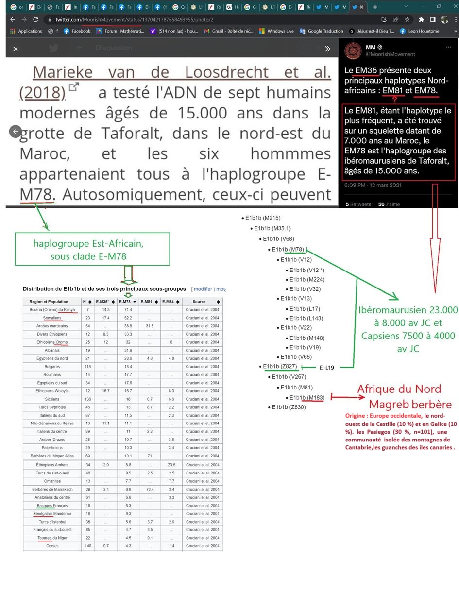 C:\Users\Hp\Documents\DOSSIER KAMITE ANTI RELIGION ABRAHAMIQUE\IMAGES\kamite image\Bedouin Amazigh Faux Egyptiens\380417352_1564242014383346_4221153895847380895_n.png