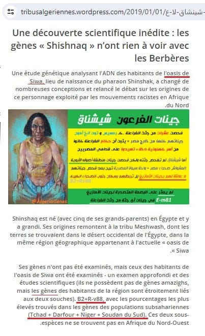 C:\Users\Hp\Documents\DOSSIER KAMITE ANTI RELIGION ABRAHAMIQUE\IMAGES\kamite image\Berberes Amazigh Faux Magreb\ADN Siwa Shéshonk Ammoniens négro Nyse.jpg