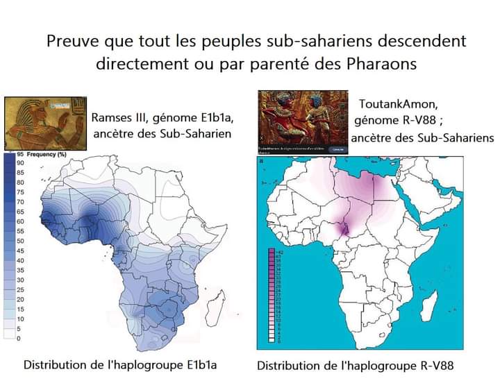 C:\Users\Hp\Documents\DOSSIER KAMITE ANTI RELIGION ABRAHAMIQUE\IMAGES\kamite image\Berberes Amazigh Faux Magreb\Adn Toutankamon Ramses 3 - Copie (3).jpg