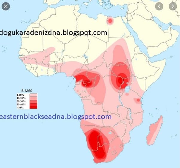 C:\Users\Hp\Documents\DOSSIER KAMITE ANTI RELIGION ABRAHAMIQUE\IMAGES\kamite image\Libye afrique antique\ADN B-M60 Afrique Nok.jpg