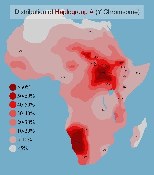 C:\Users\Hp\Documents\DOSSIER KAMITE ANTI RELIGION ABRAHAMIQUE\IMAGES\kamite image\Libye afrique antique\ADN A Afrique Nok.jpg