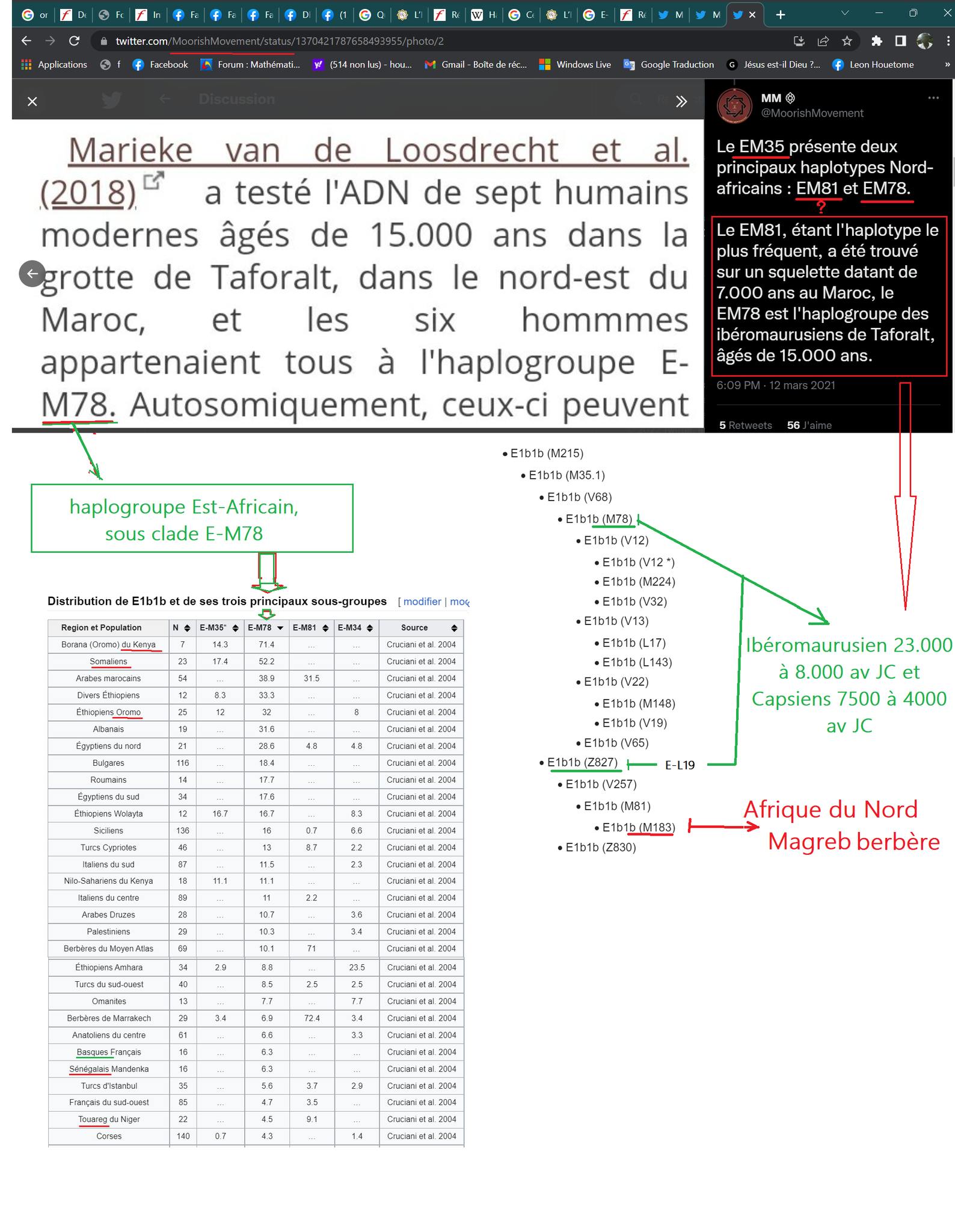 C:\Users\Hp\Documents\DOSSIER KAMITE ANTI RELIGION ABRAHAMIQUE\LIVRES\Livres En cours ecriture moi\Momie Arabe mange les momie\317723175_1387565388717677_860202986512966766_n.jpg